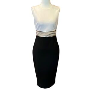 CALVIN KLEIN Womens Black White Colorblock Back Zip Sheath Dress 8P